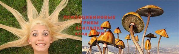 ПСИЛОЦИБИНОВЫЕ ГРИБЫ Верхний Тагил