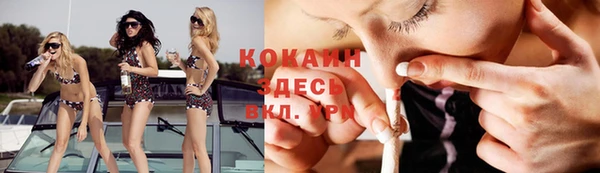 ПСИЛОЦИБИНОВЫЕ ГРИБЫ Верхний Тагил
