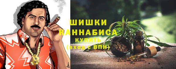 ПСИЛОЦИБИНОВЫЕ ГРИБЫ Верхний Тагил