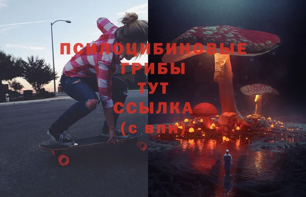 ПСИЛОЦИБИНОВЫЕ ГРИБЫ Верхний Тагил