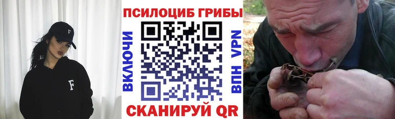 Псилоцибиновые грибы ЛСД  Купить где  Краснодар 